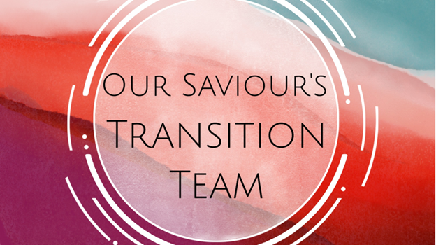Transition Team Logo