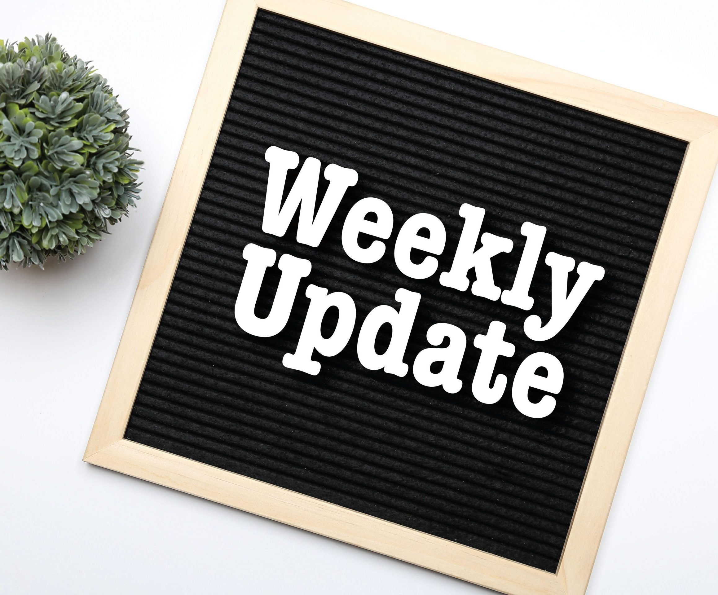 Weekly Update